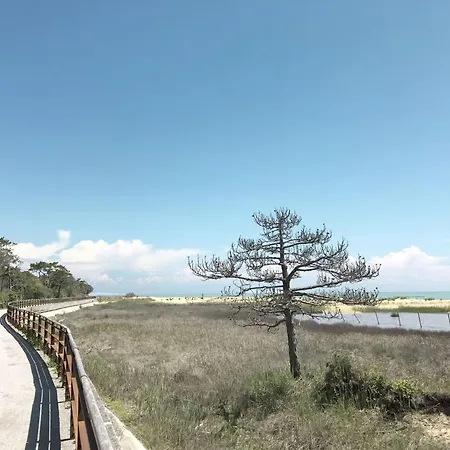 Croce Del Sud-11 By Interhome * بيبيوني